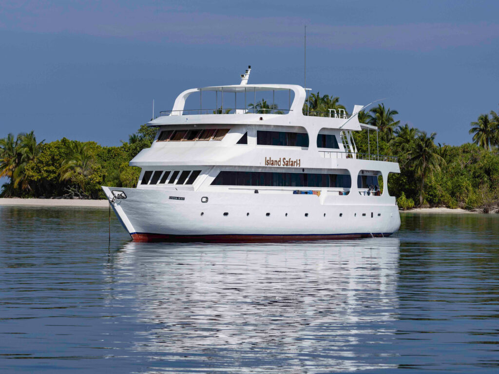 Island Safari Boot aussen